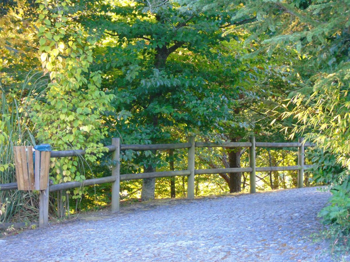 Quinta Da Chouza Agroturismo E Enoturismo Селорику-ди-Башту Экстерьер фото